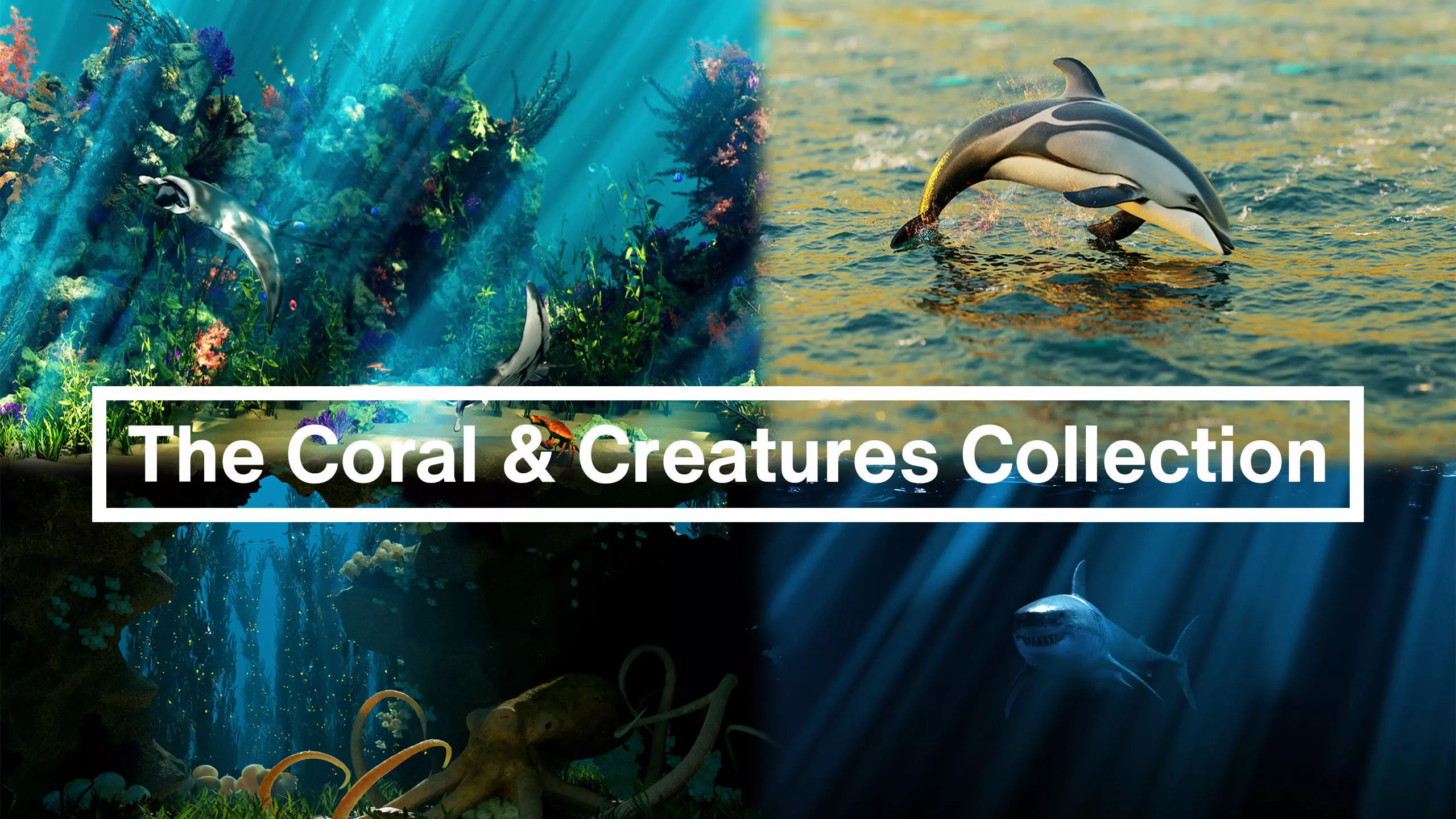 The Coral And Creatures Collection 3D model_0