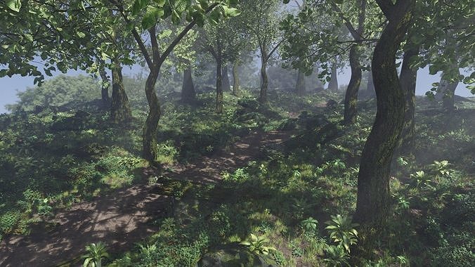 Forest Scene 3D model 5
