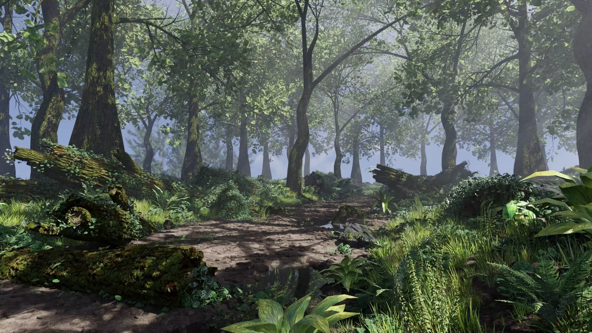 Forest Scene 3D model_0