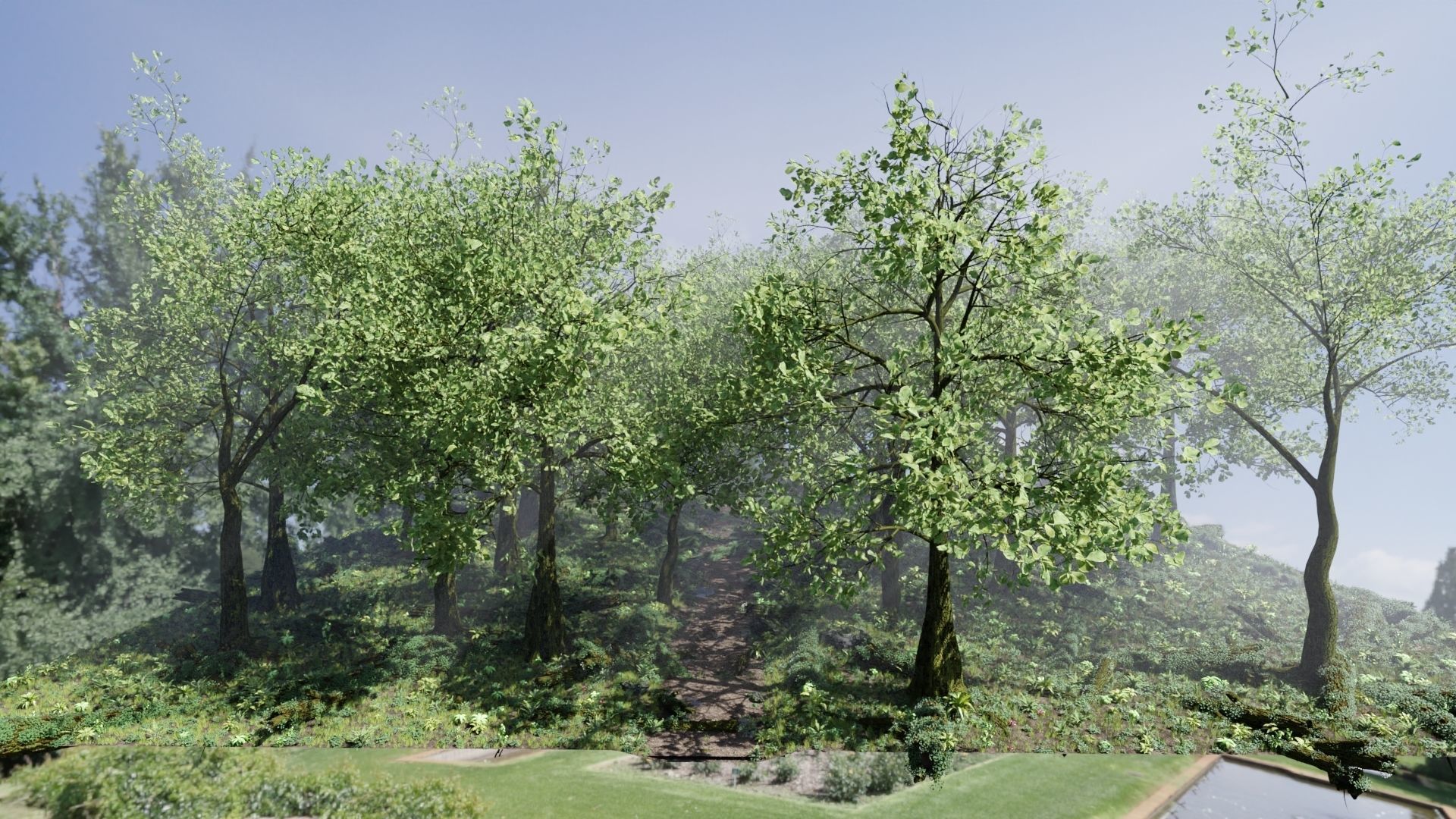 Forest Scene 3D model_6