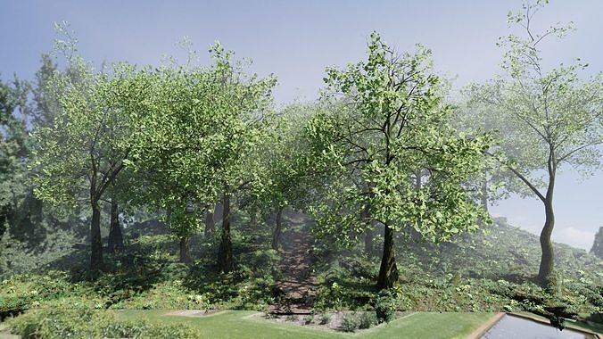Forest Scene 3D model 7