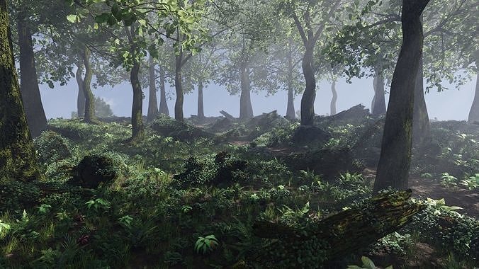 Forest Scene 3D model 3