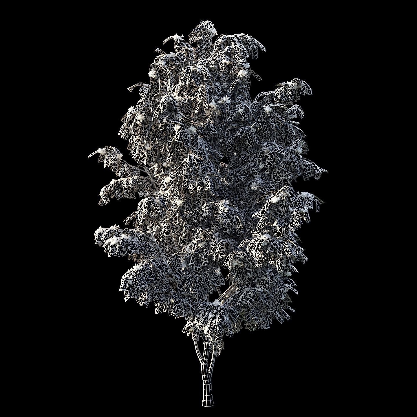 Rowan 4 meters 3D model_8