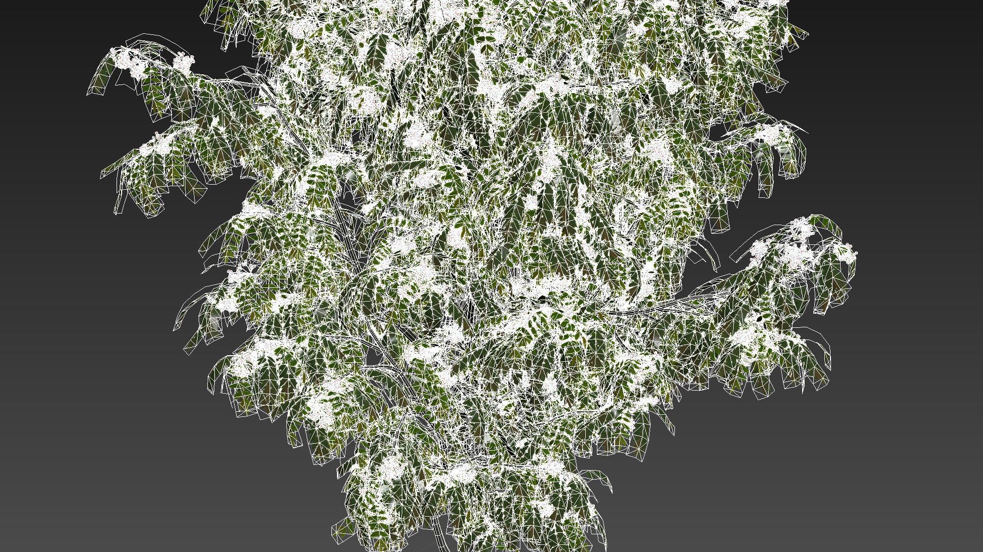 Rowan 4 meters 3D model_11