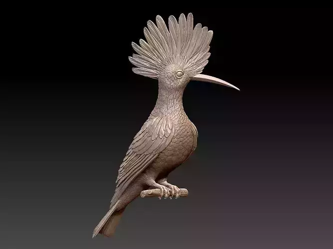 HOOPOE bird with long beak 3D print model