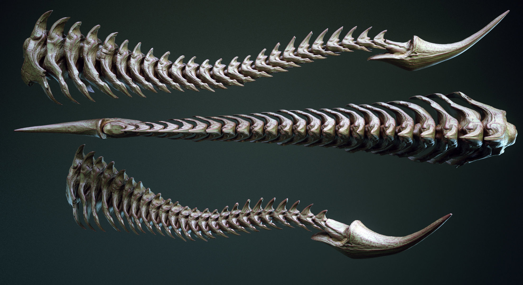 TAILS - 33 Tail Meshes and Curve Brushes 3D model_21