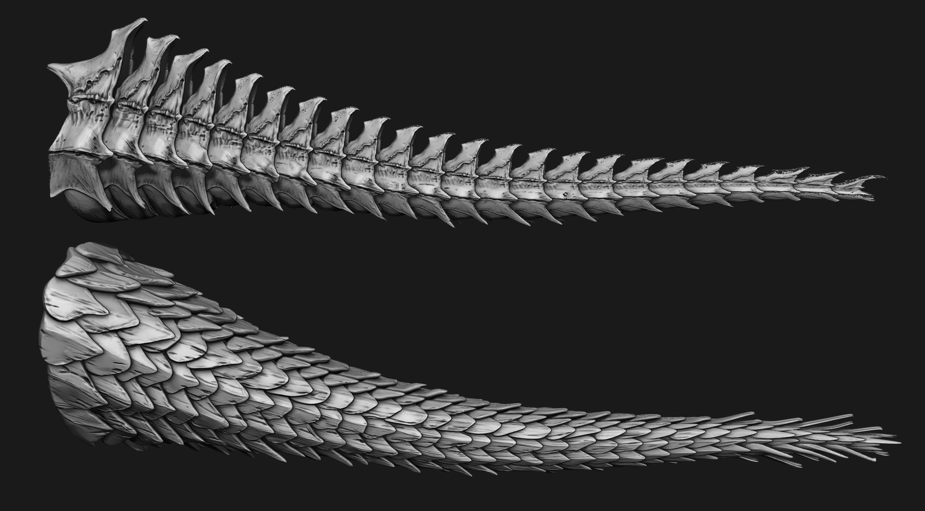 TAILS - 33 Tail Meshes and Curve Brushes 3D model_41