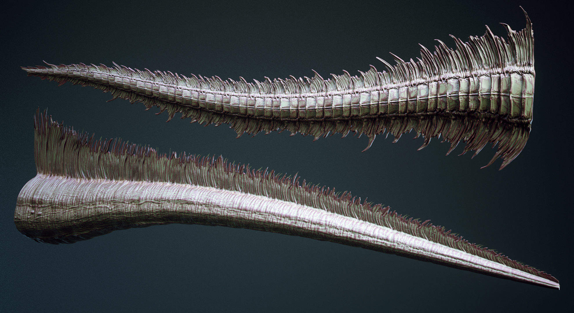 TAILS - 33 Tail Meshes and Curve Brushes 3D model_10