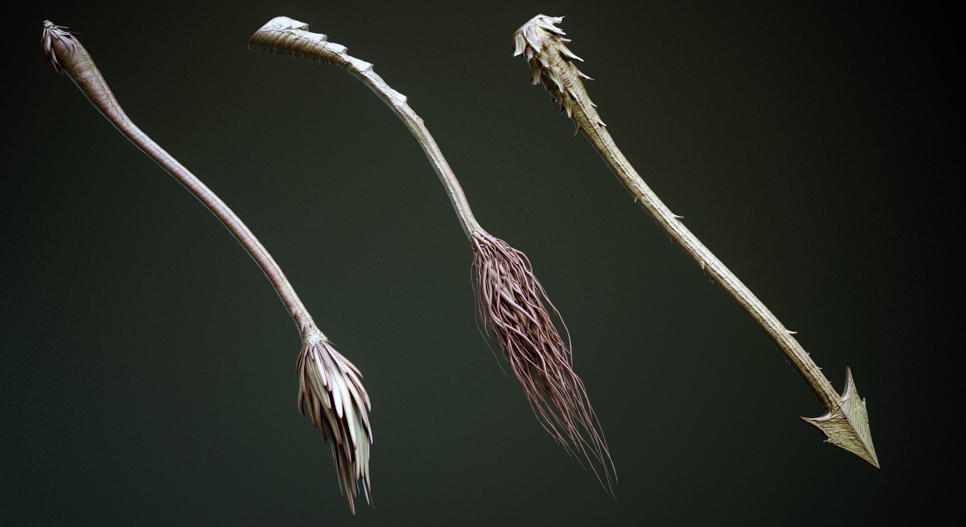 TAILS - 33 Tail Meshes and Curve Brushes 3D model_29