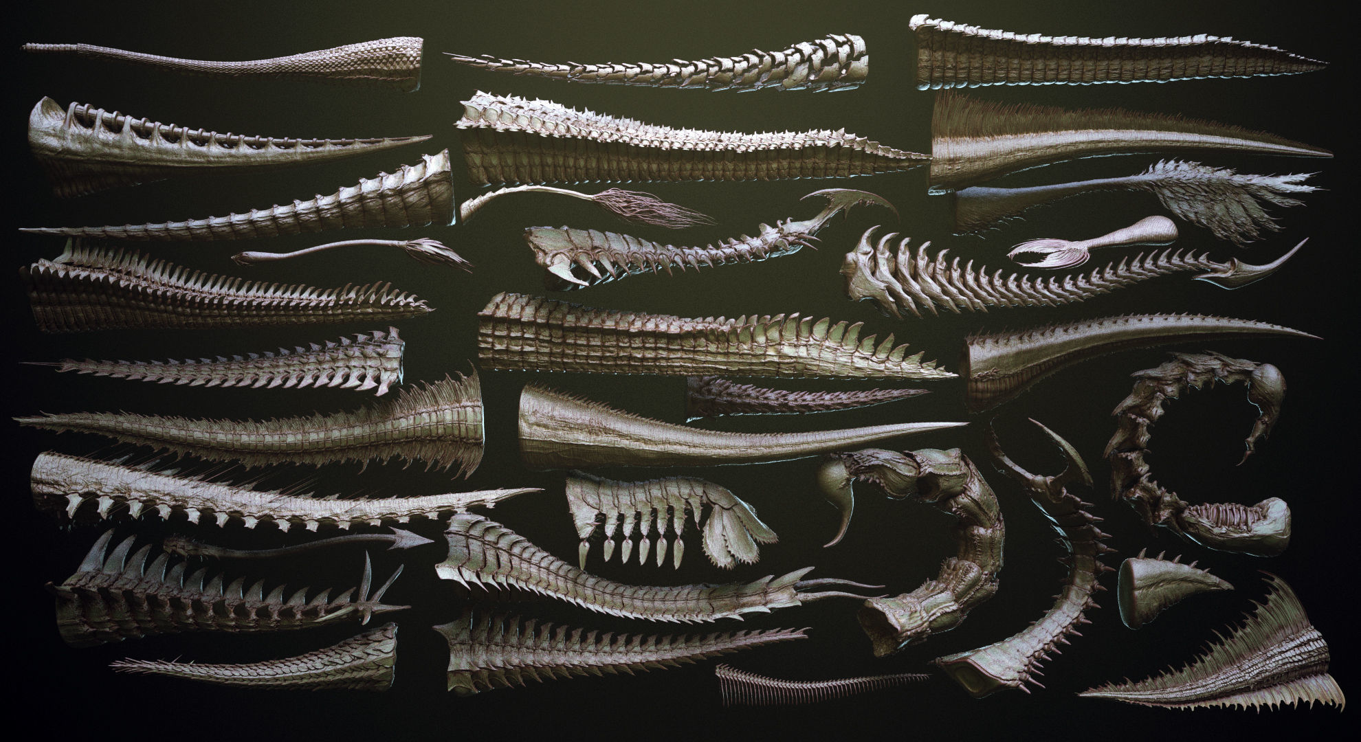 TAILS - 33 Tail Meshes and Curve Brushes 3D model_2