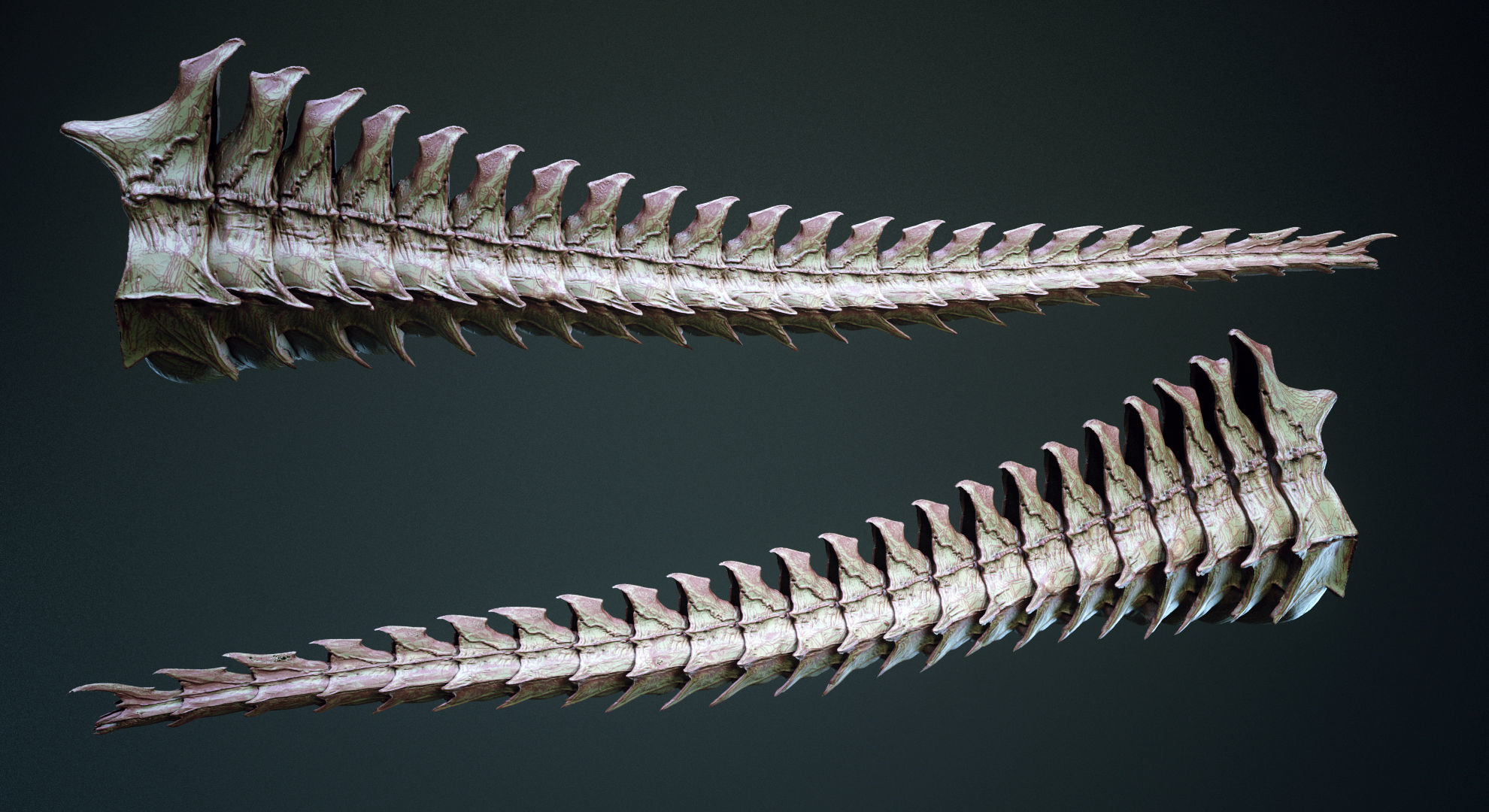 TAILS - 33 Tail Meshes and Curve Brushes 3D model_17