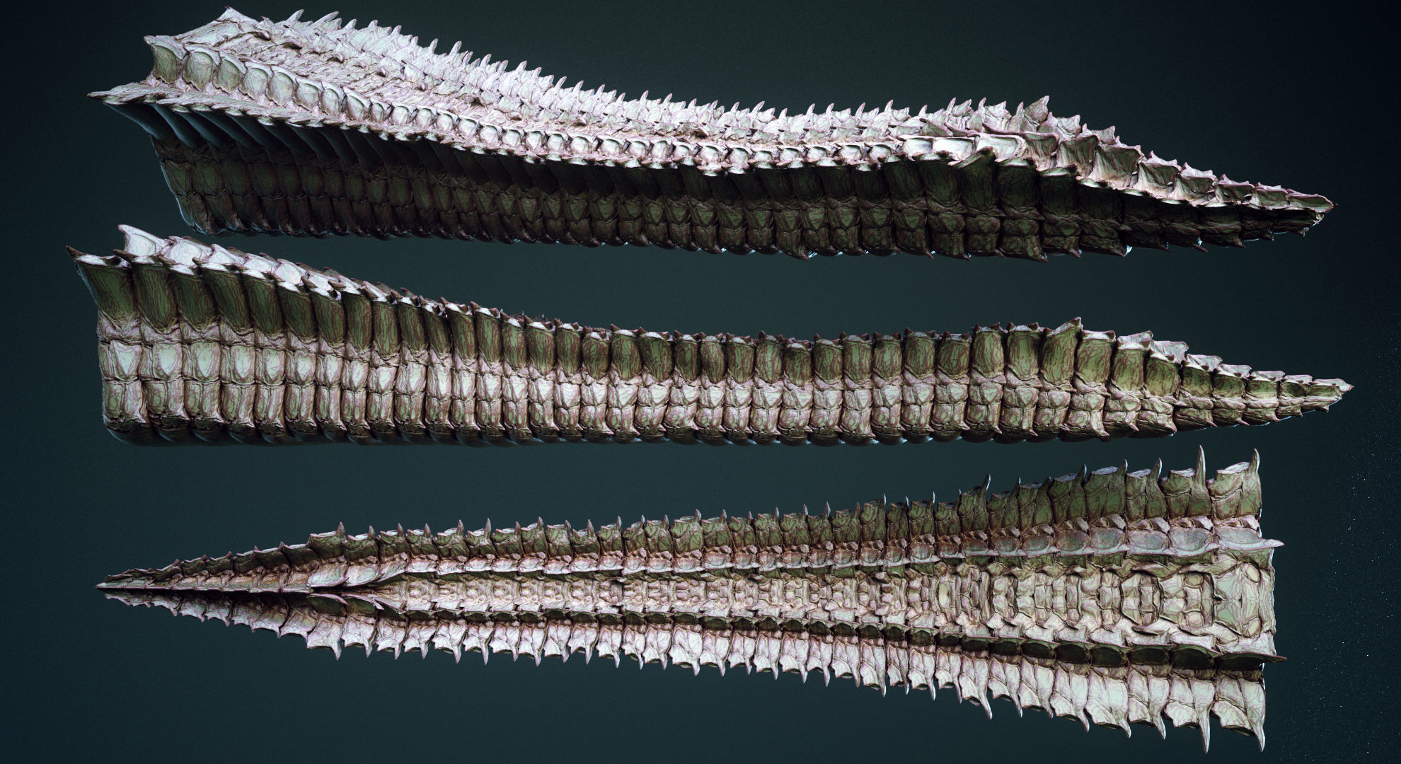 TAILS - 33 Tail Meshes and Curve Brushes 3D model_4