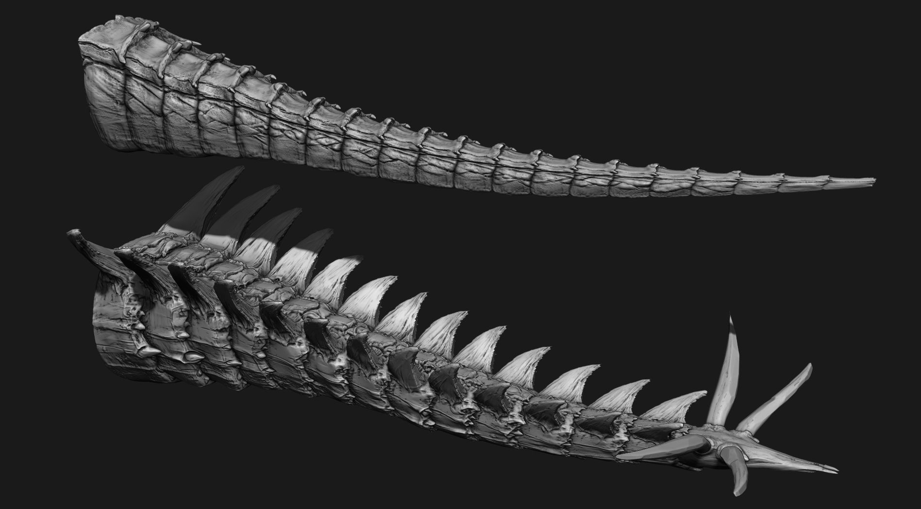 TAILS - 33 Tail Meshes and Curve Brushes 3D model_34