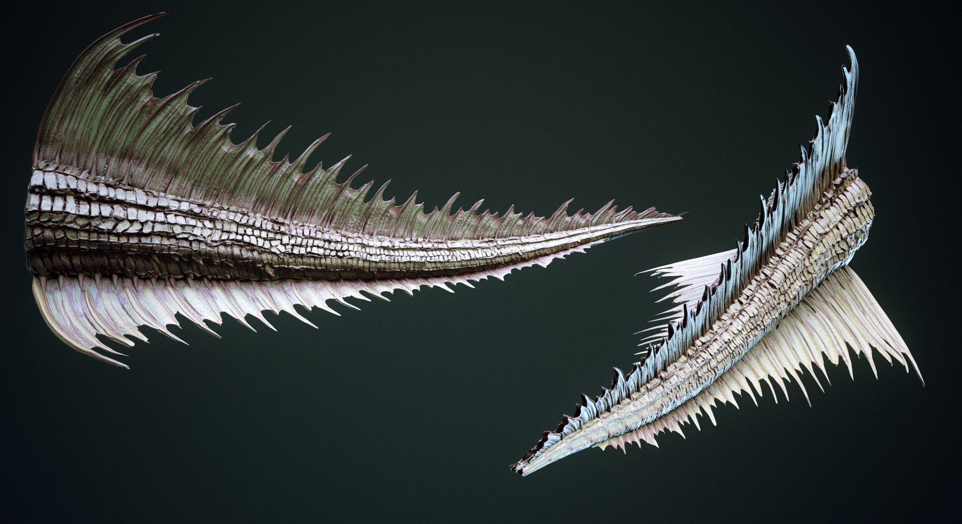 TAILS - 33 Tail Meshes and Curve Brushes 3D model_14