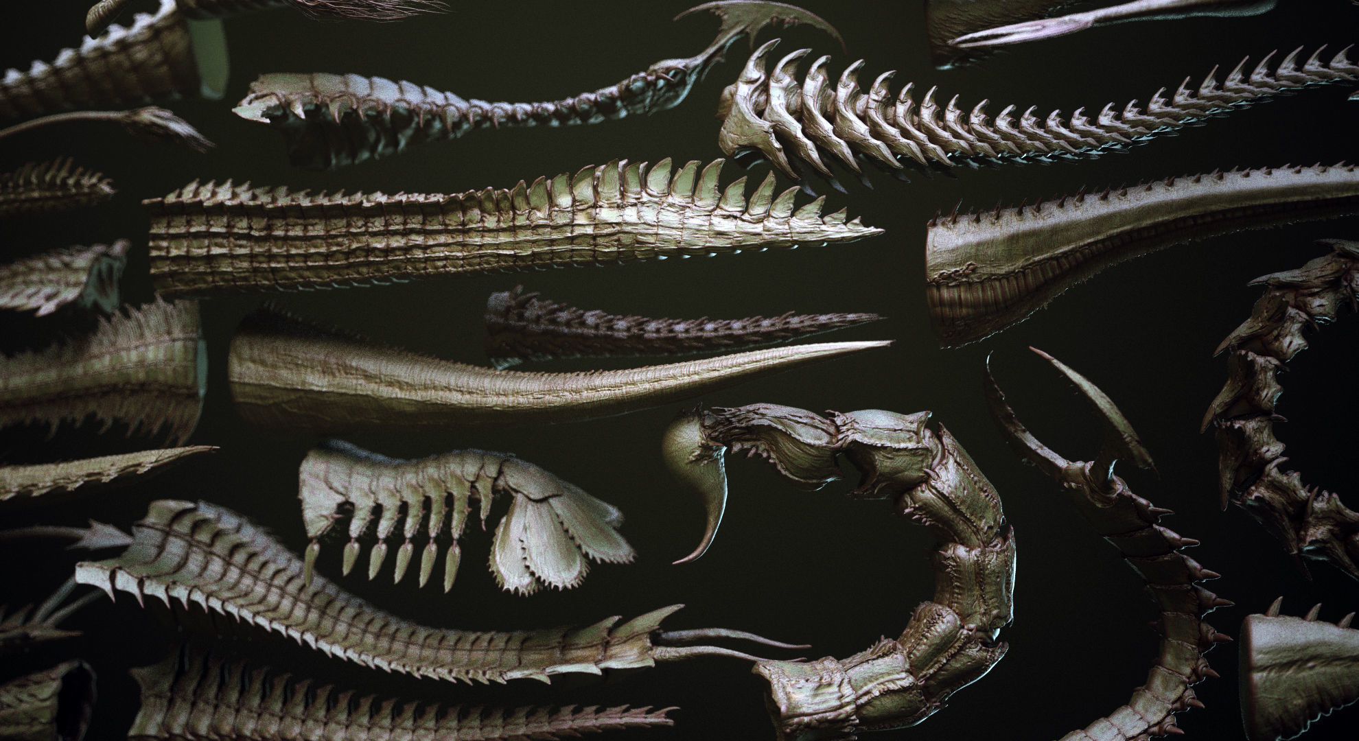 TAILS - 33 Tail Meshes and Curve Brushes 3D model_1