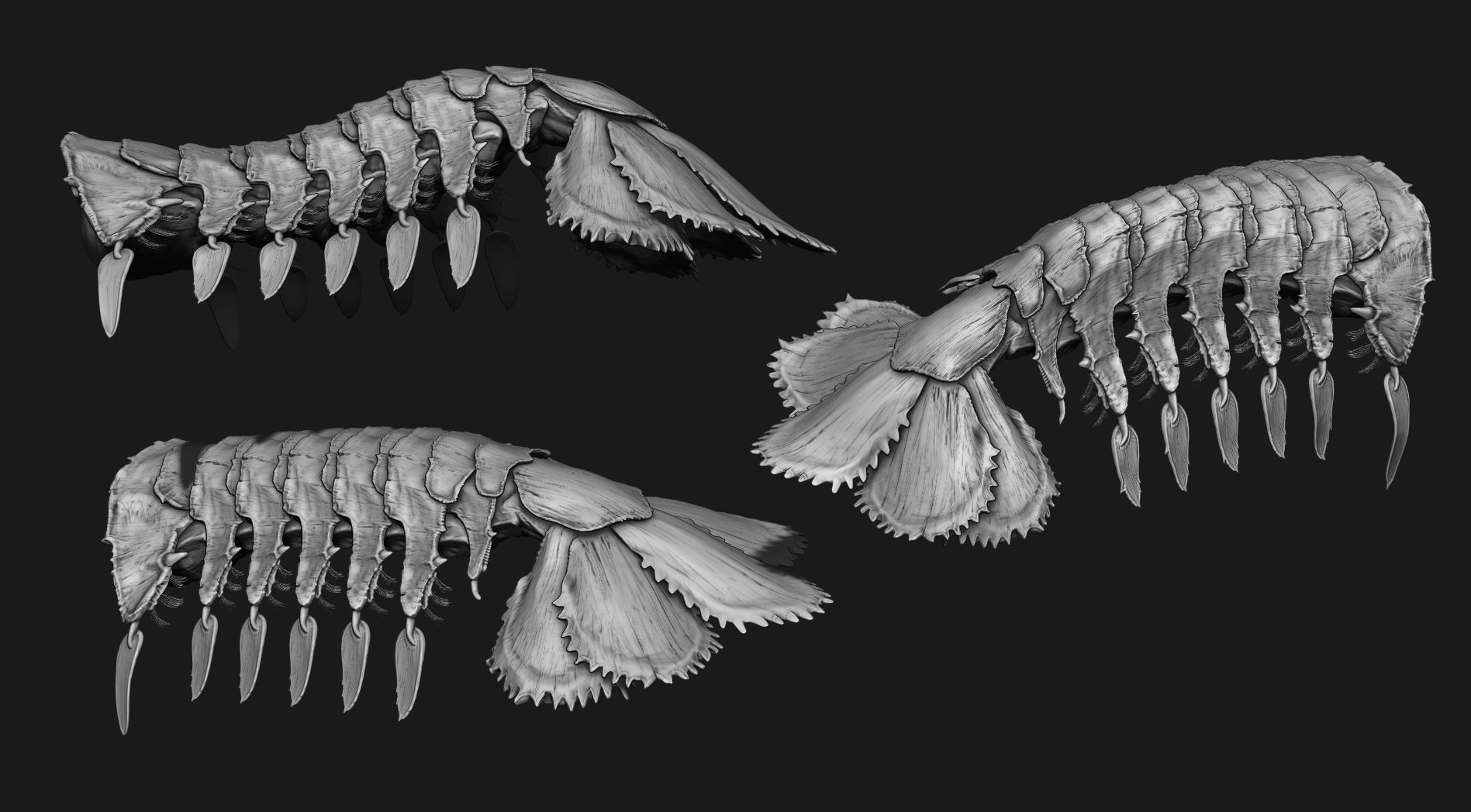 TAILS - 33 Tail Meshes and Curve Brushes 3D model_48