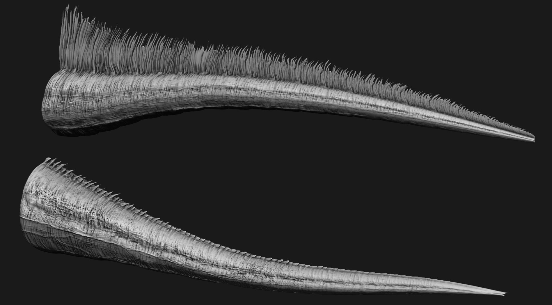 TAILS - 33 Tail Meshes and Curve Brushes 3D model_36