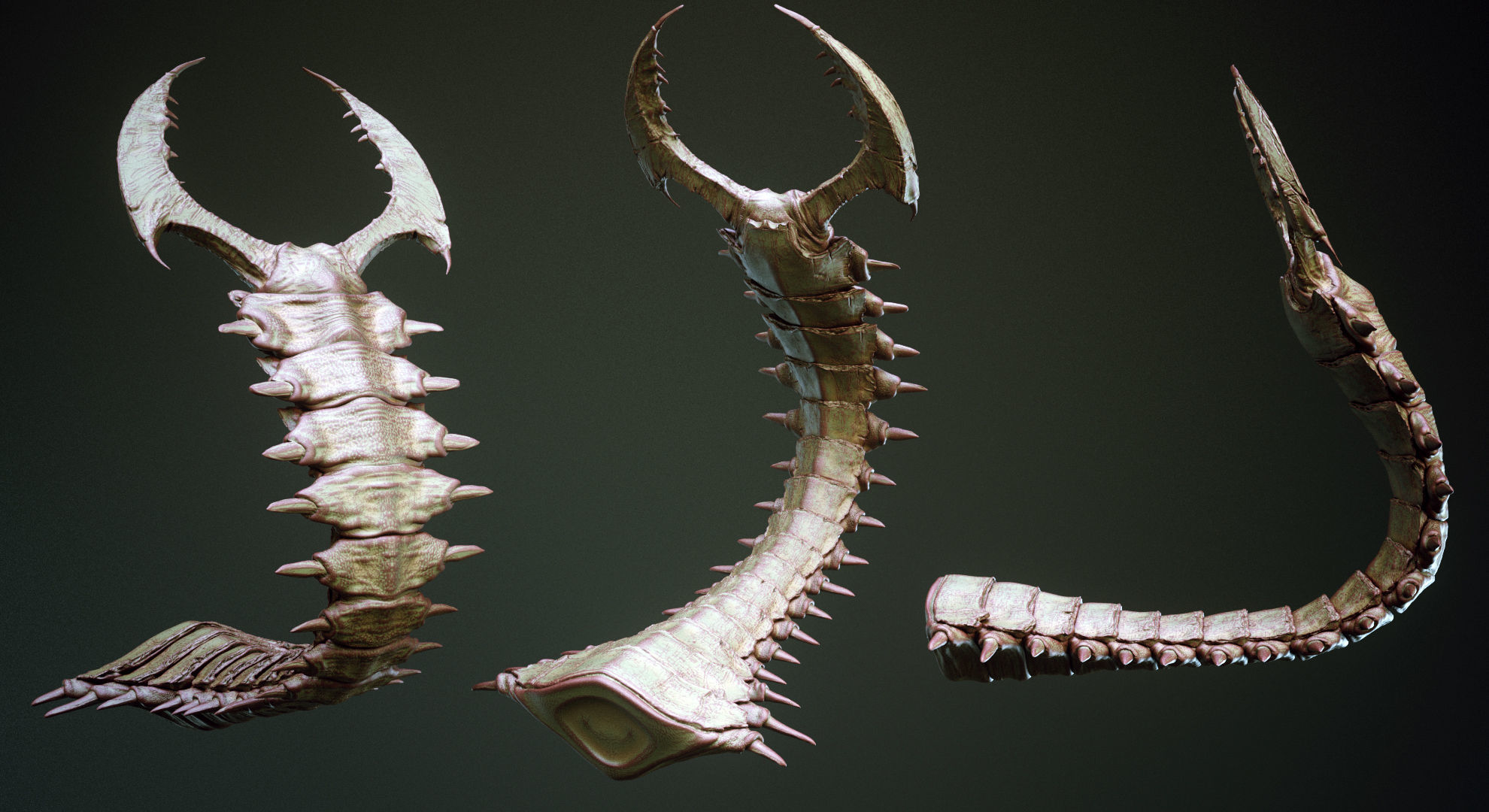 TAILS - 33 Tail Meshes and Curve Brushes 3D model_23