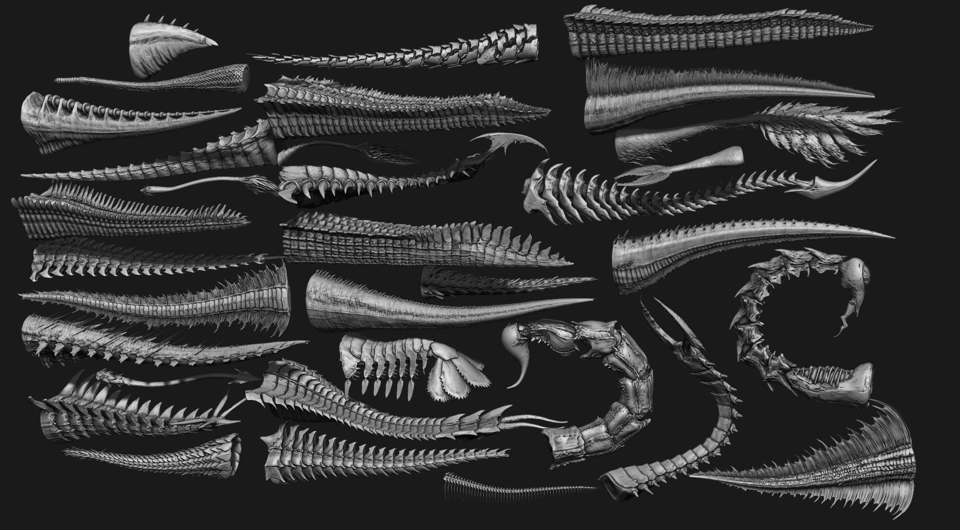 TAILS - 33 Tail Meshes and Curve Brushes 3D model_31