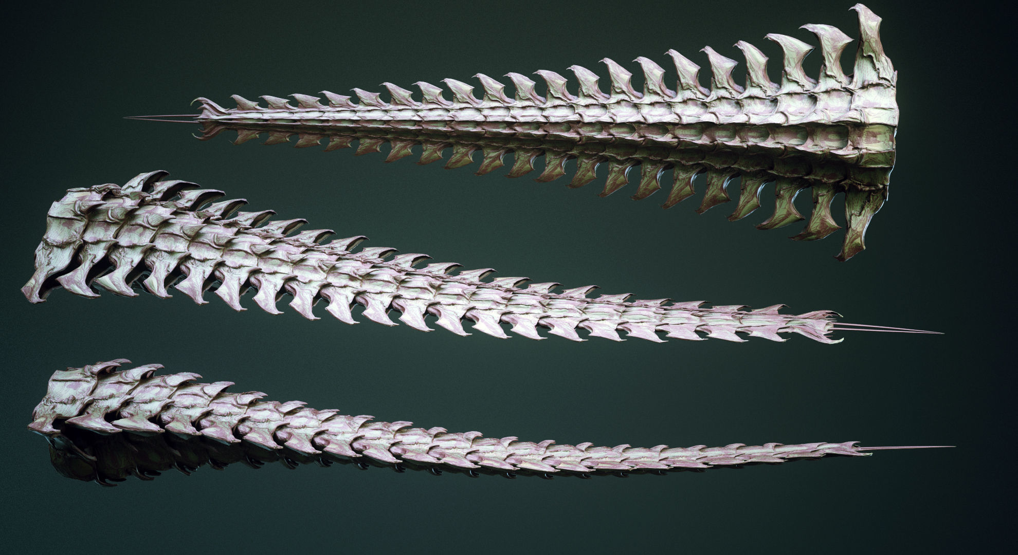 TAILS - 33 Tail Meshes and Curve Brushes 3D model_18