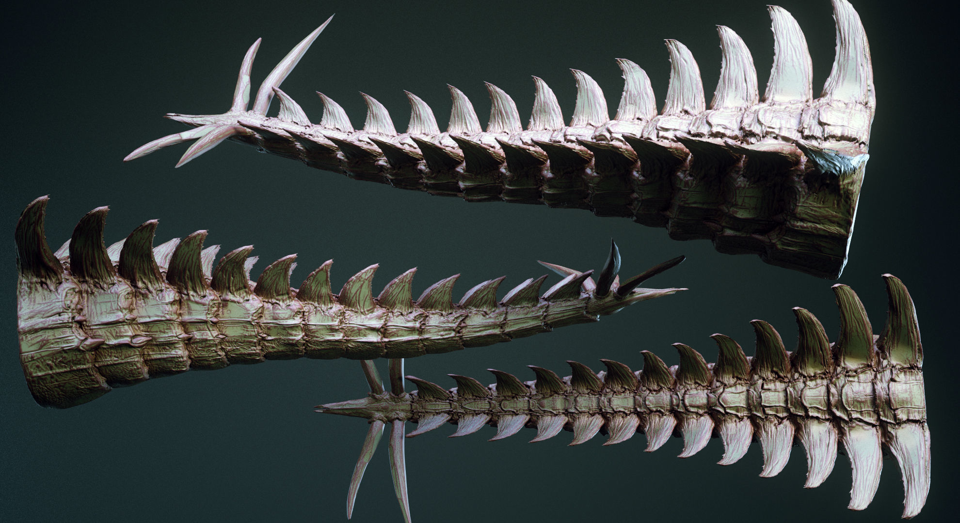 TAILS - 33 Tail Meshes and Curve Brushes 3D model_9