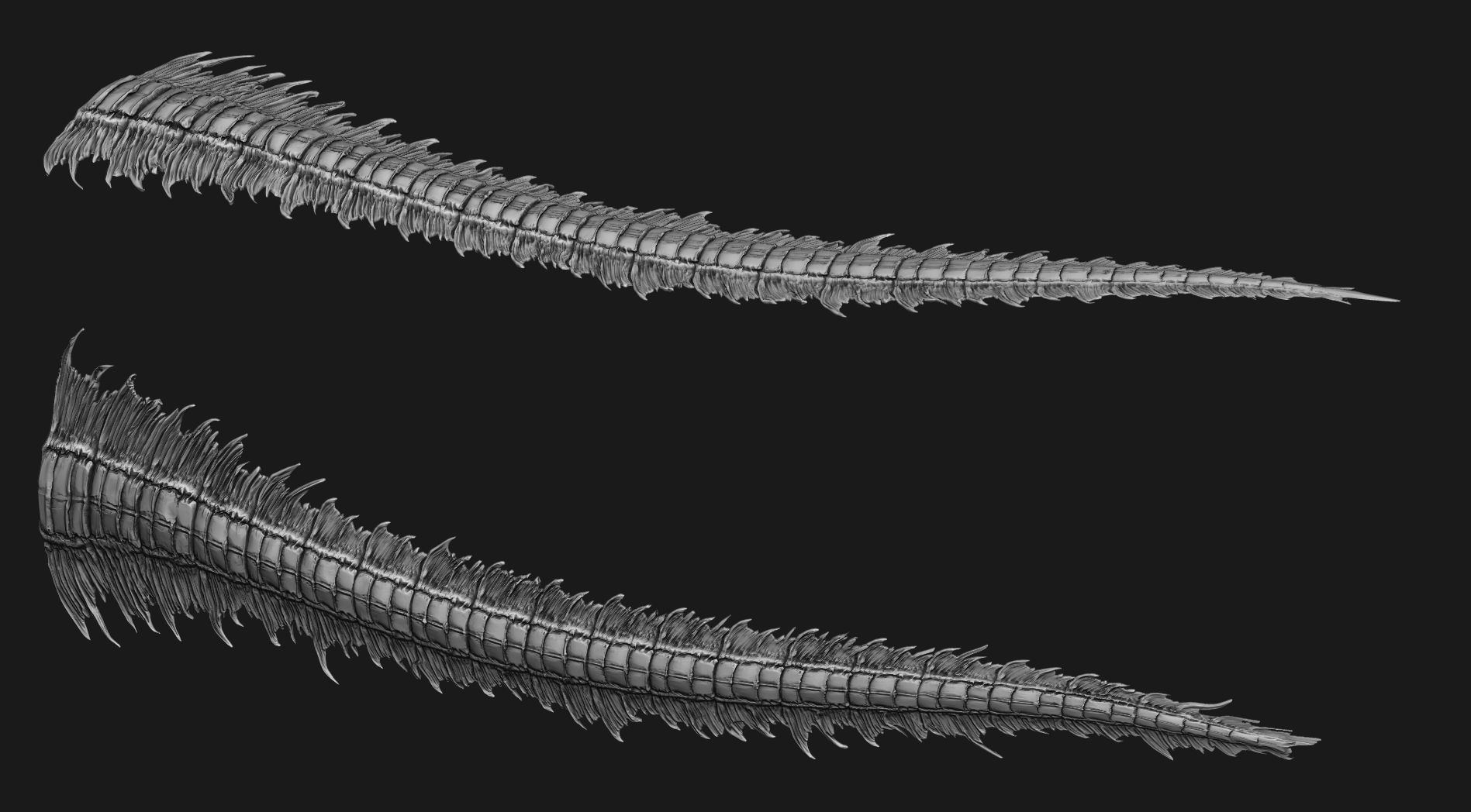 TAILS - 33 Tail Meshes and Curve Brushes 3D model_35