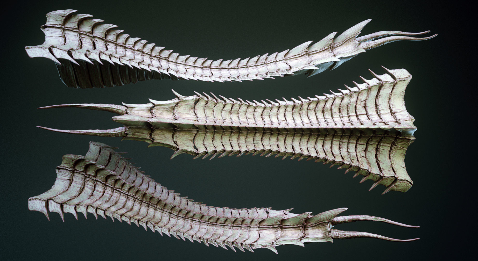 TAILS - 33 Tail Meshes and Curve Brushes 3D model_20