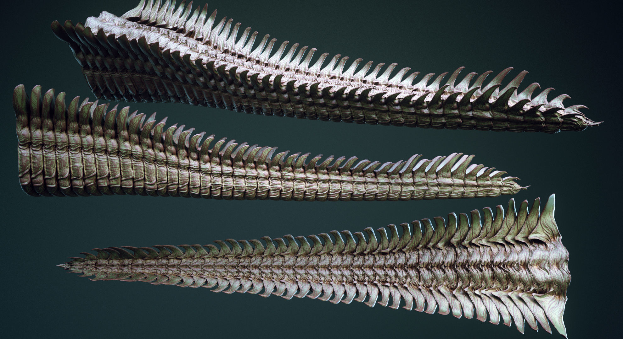 TAILS - 33 Tail Meshes and Curve Brushes 3D model_5