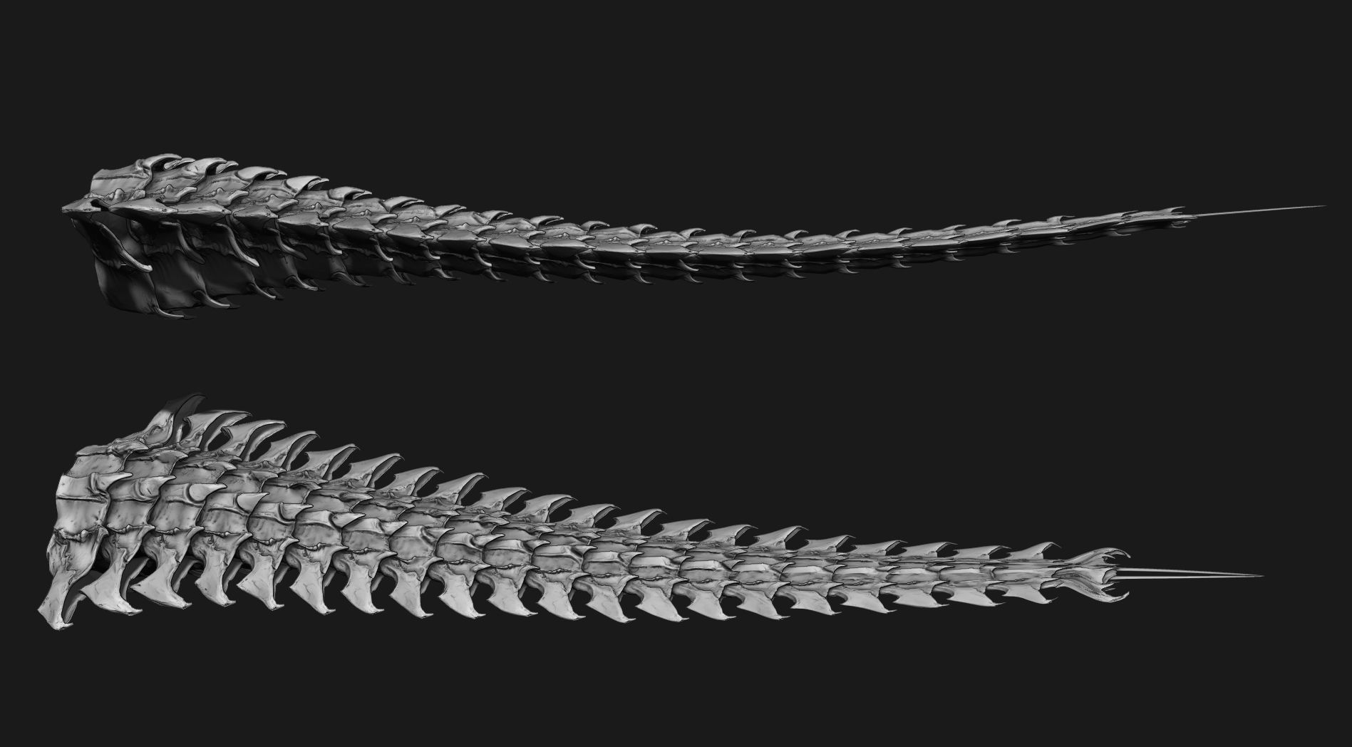 TAILS - 33 Tail Meshes and Curve Brushes 3D model_42