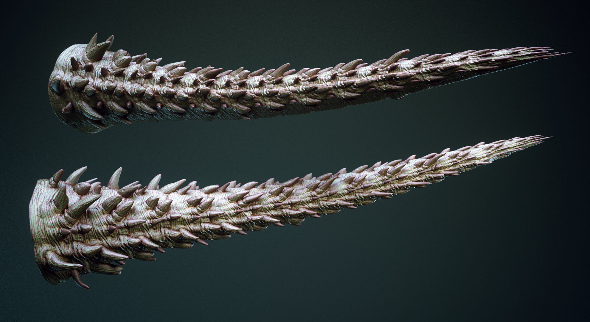 TAILS - 33 Tail Meshes and Curve Brushes 3D model_19