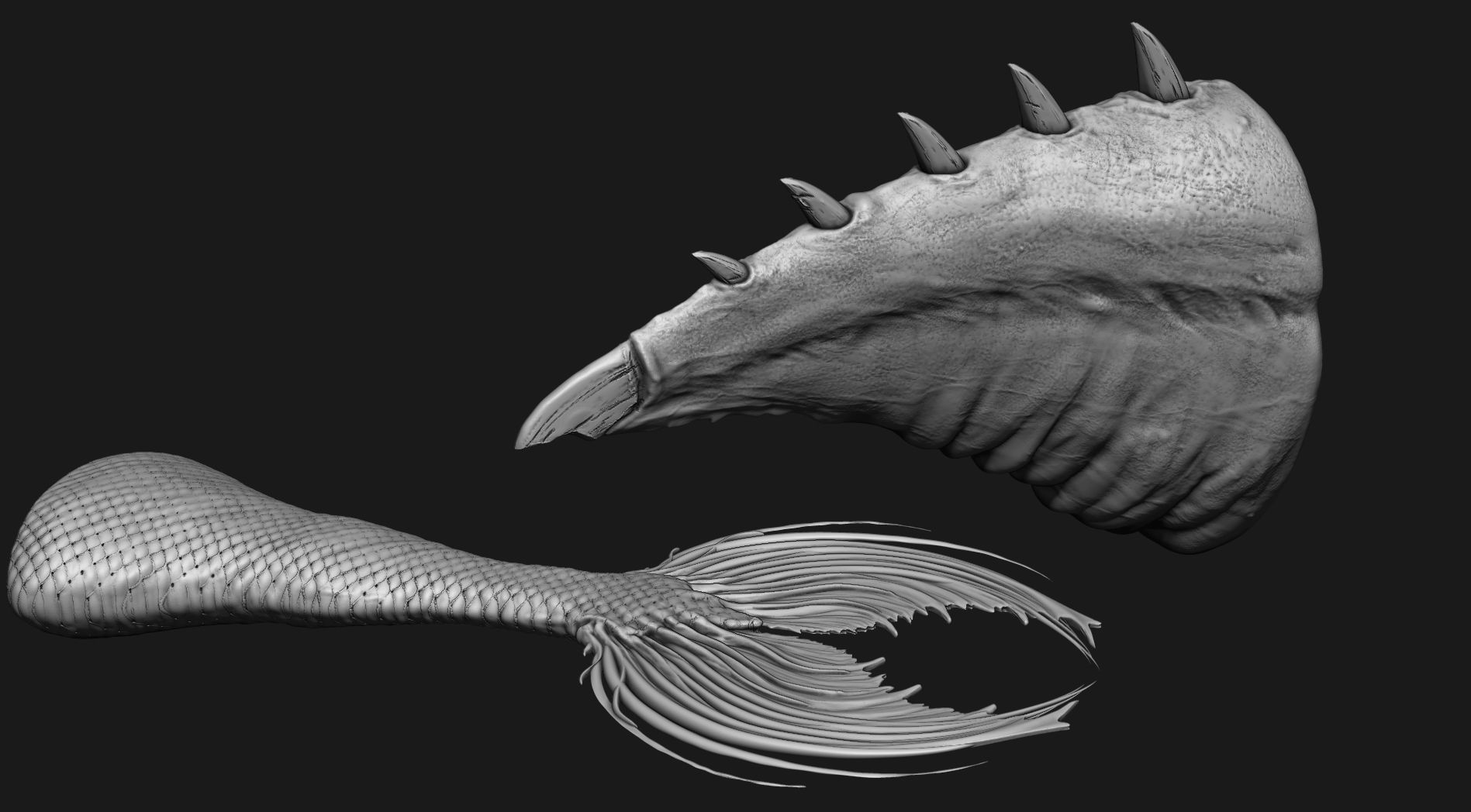 TAILS - 33 Tail Meshes and Curve Brushes 3D model_50