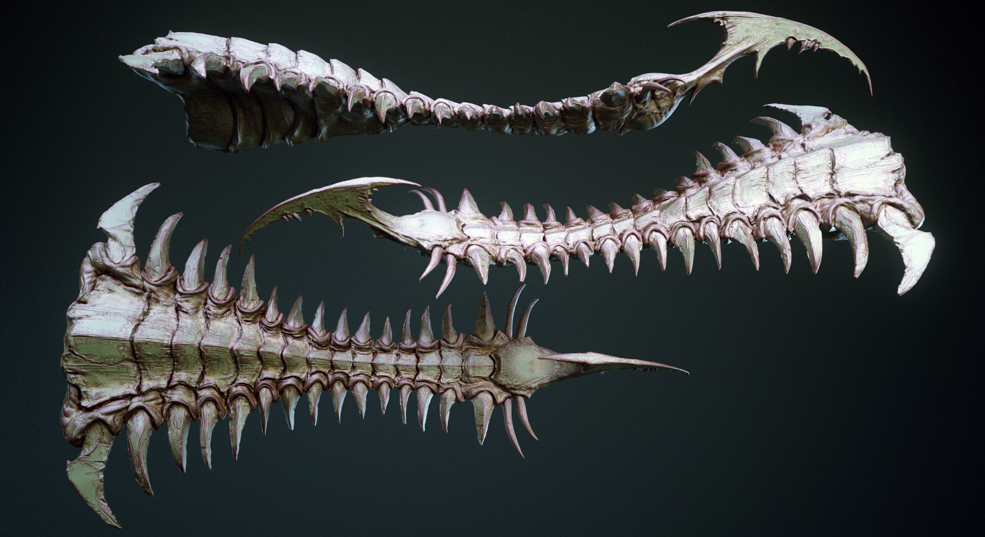 TAILS - 33 Tail Meshes and Curve Brushes 3D model_22