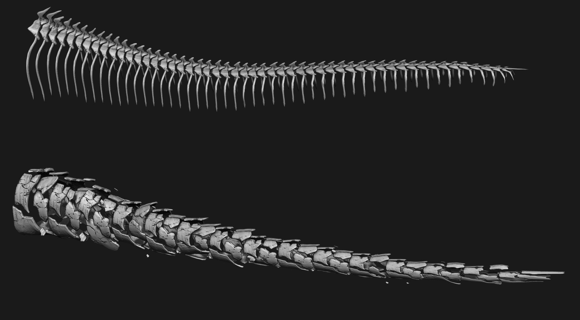 TAILS - 33 Tail Meshes and Curve Brushes 3D model_52