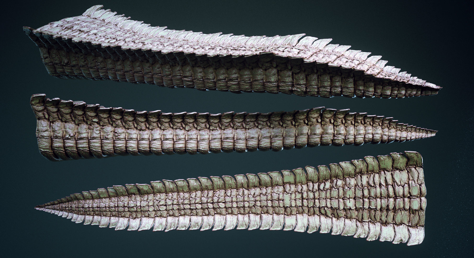 TAILS - 33 Tail Meshes and Curve Brushes 3D model_3