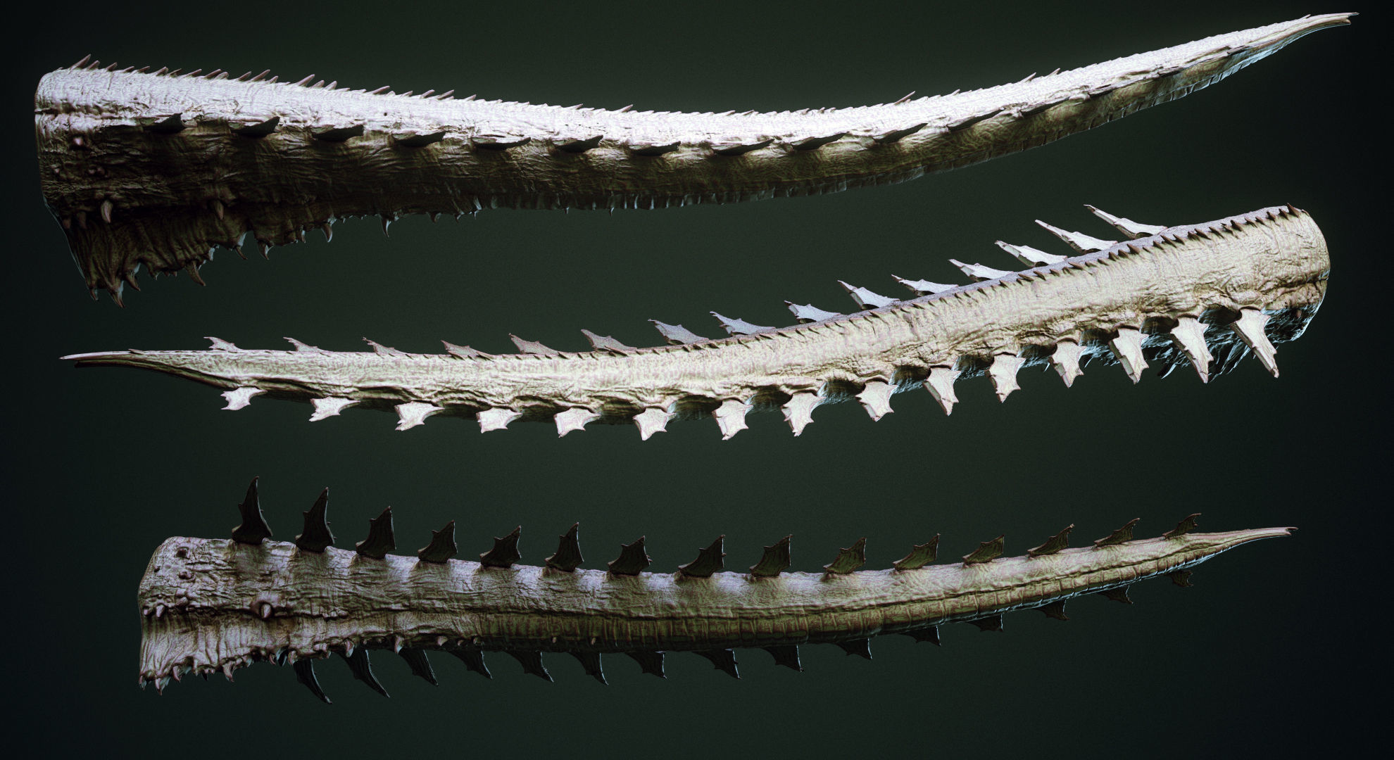 TAILS - 33 Tail Meshes and Curve Brushes 3D model_13