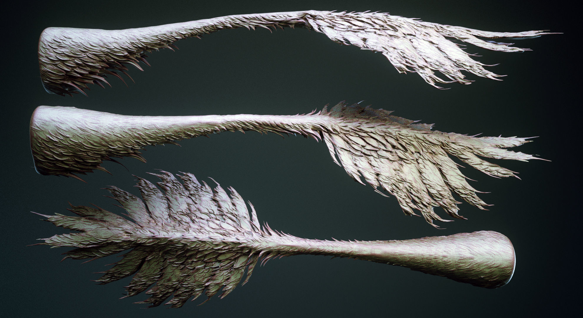 TAILS - 33 Tail Meshes and Curve Brushes 3D model_27