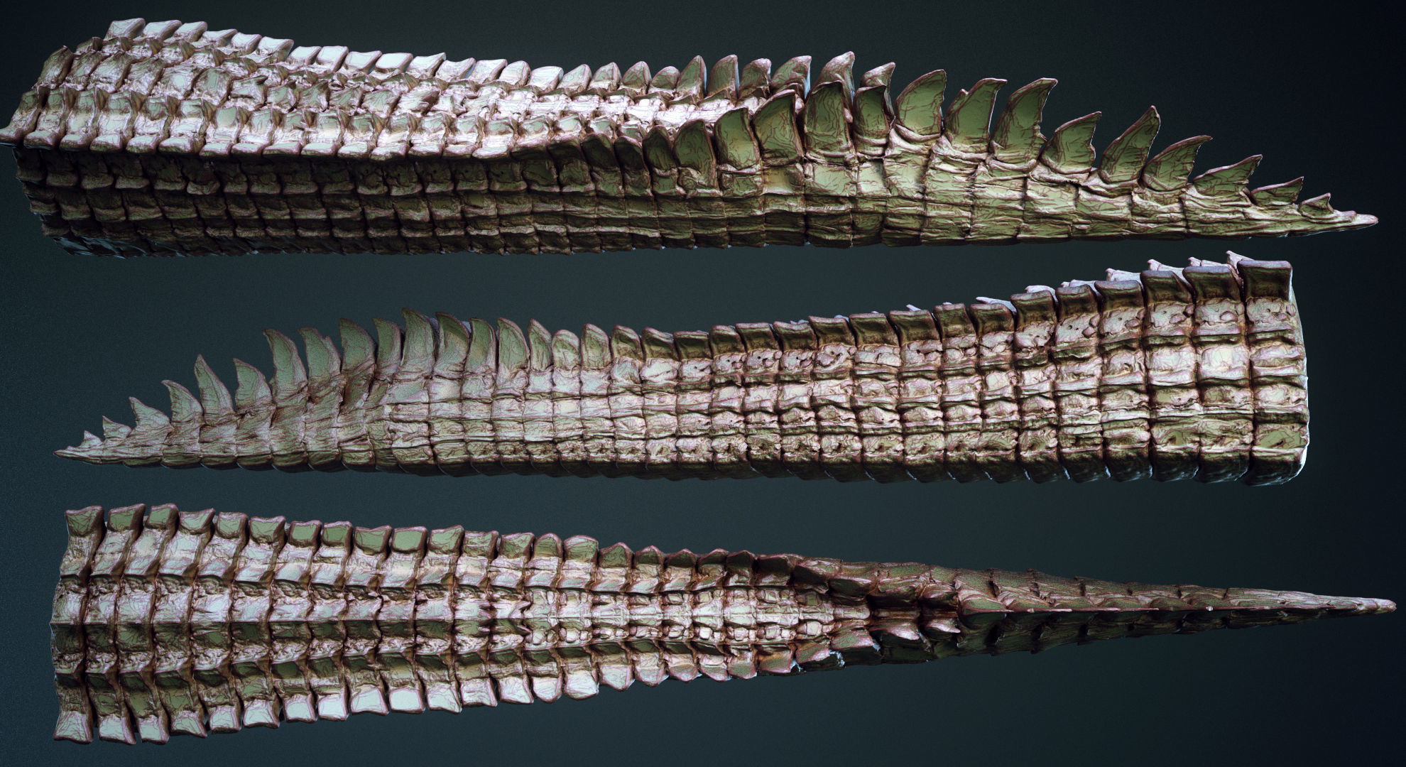 TAILS - 33 Tail Meshes and Curve Brushes 3D model_7