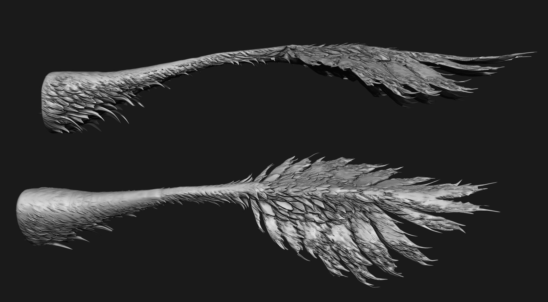 TAILS - 33 Tail Meshes and Curve Brushes 3D model_49