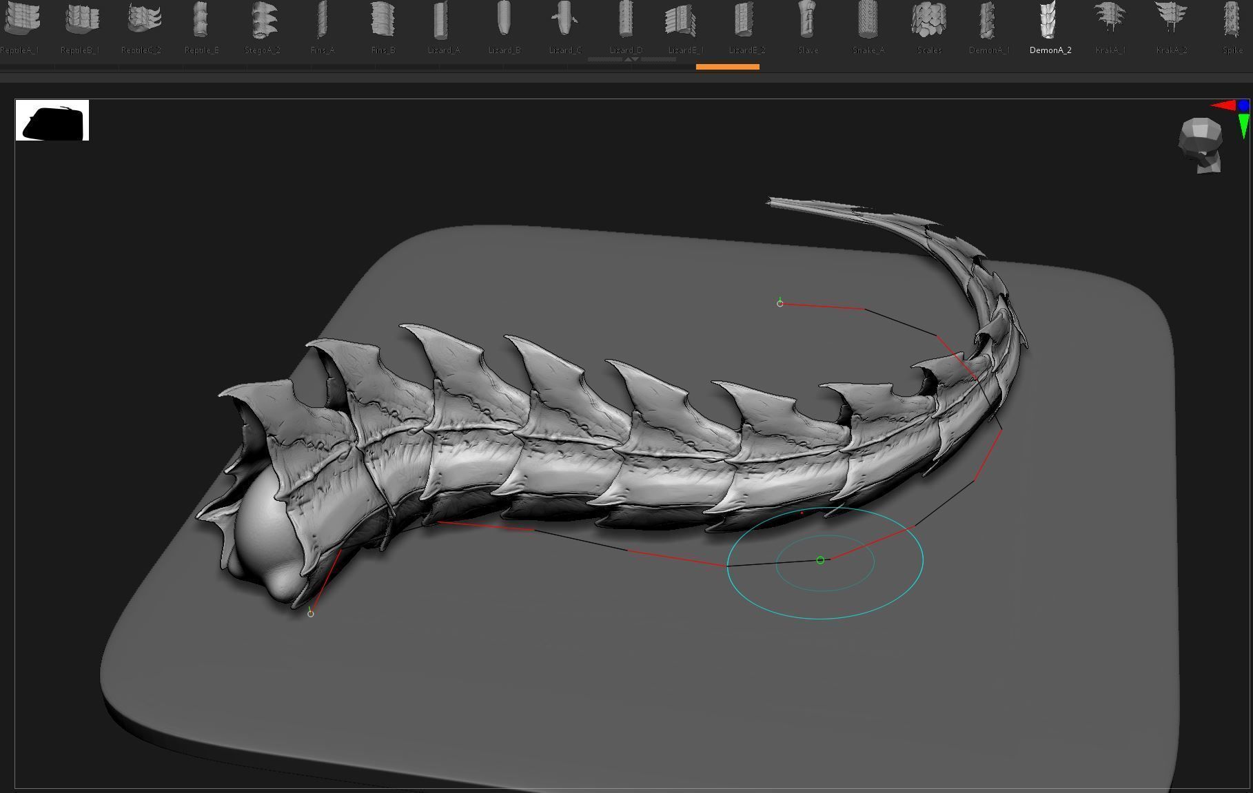 TAILS - 33 Tail Meshes and Curve Brushes 3D model_54