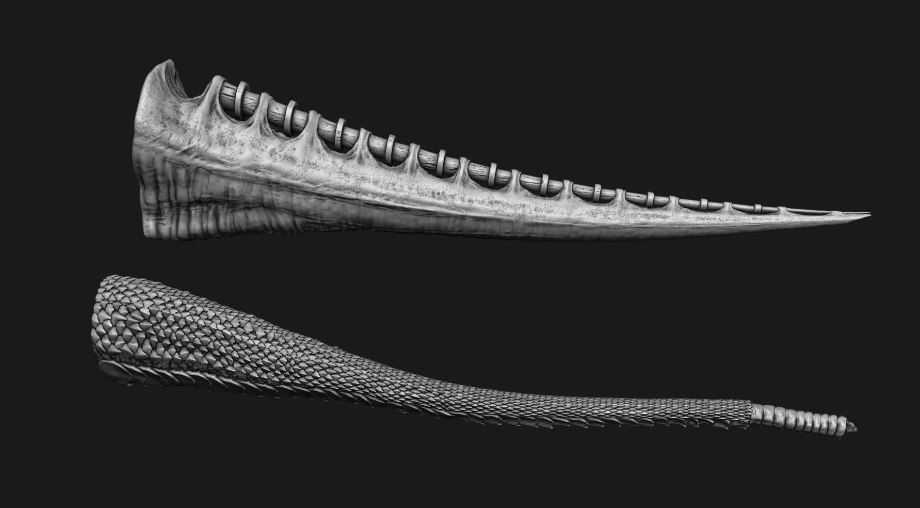 TAILS - 33 Tail Meshes and Curve Brushes 3D model_40