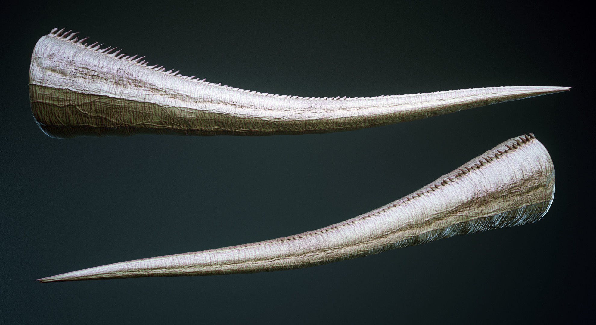 TAILS - 33 Tail Meshes and Curve Brushes 3D model_11