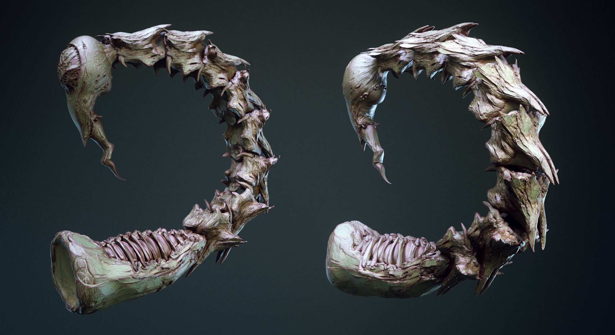 TAILS - 33 Tail Meshes and Curve Brushes 3D model_25