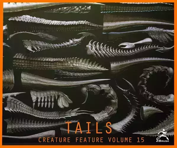 TAILS - 33 Tail Meshes and Curve Brushes 3D model