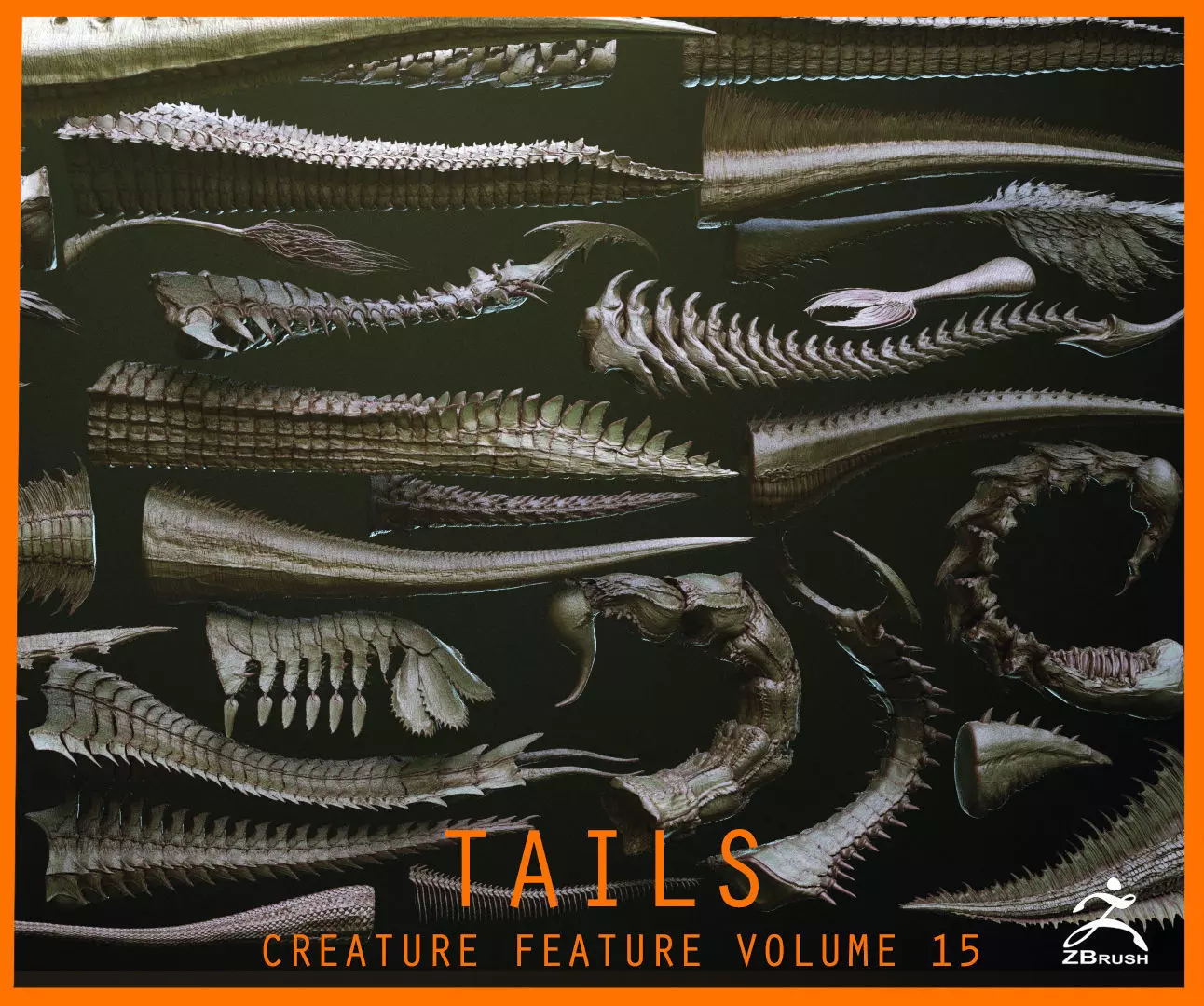 TAILS - 33 Tail Meshes and Curve Brushes 3D model_0