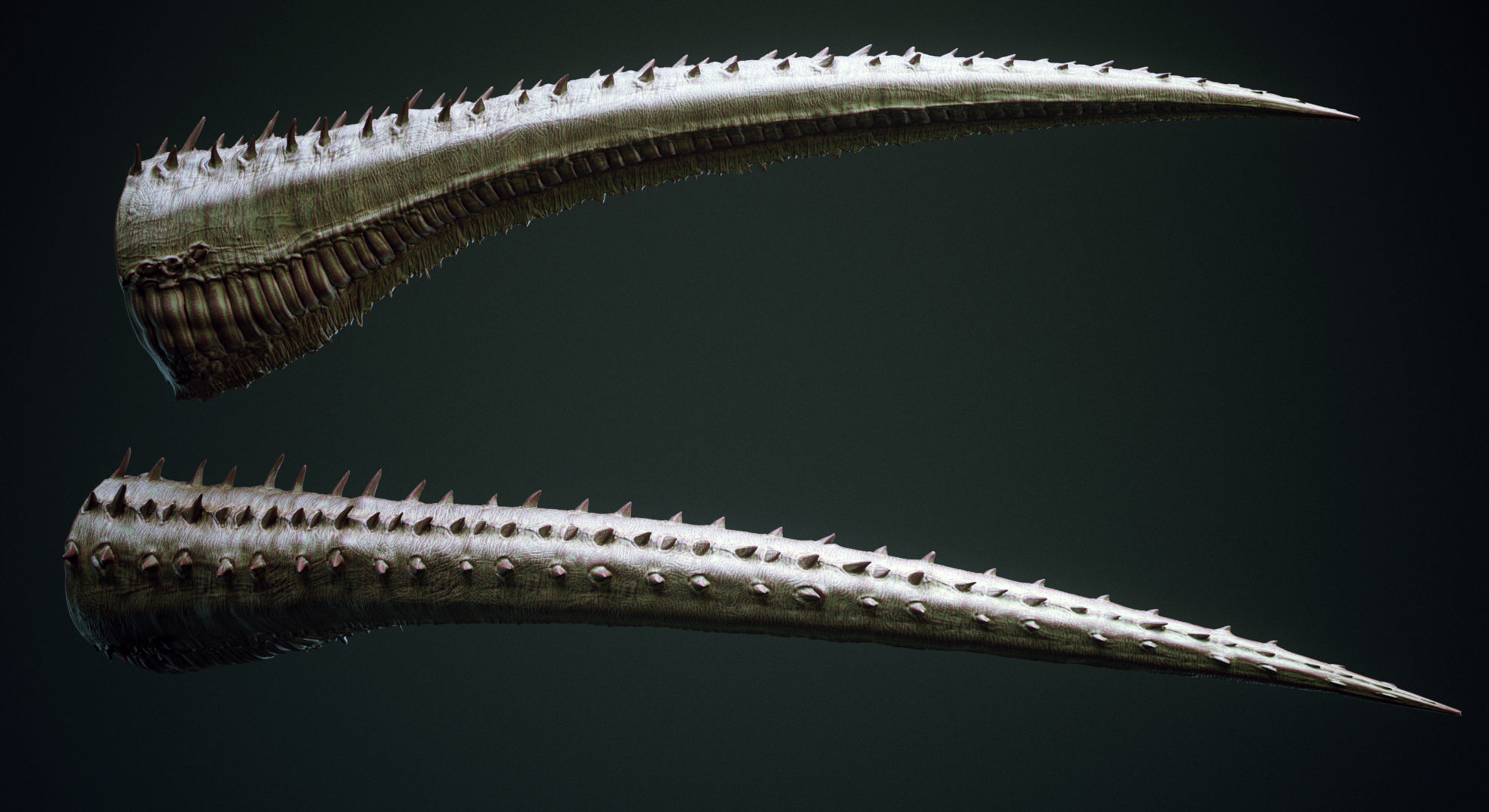 TAILS - 33 Tail Meshes and Curve Brushes 3D model_12