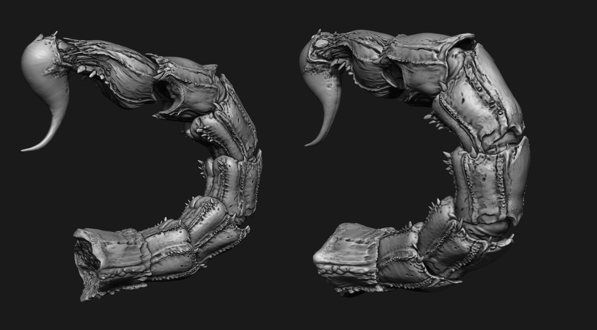 TAILS - 33 Tail Meshes and Curve Brushes 3D model_46