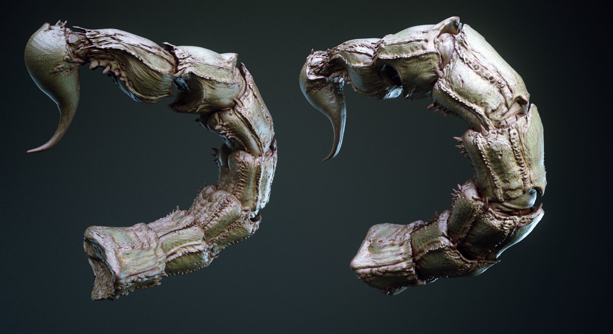 TAILS - 33 Tail Meshes and Curve Brushes 3D model_24