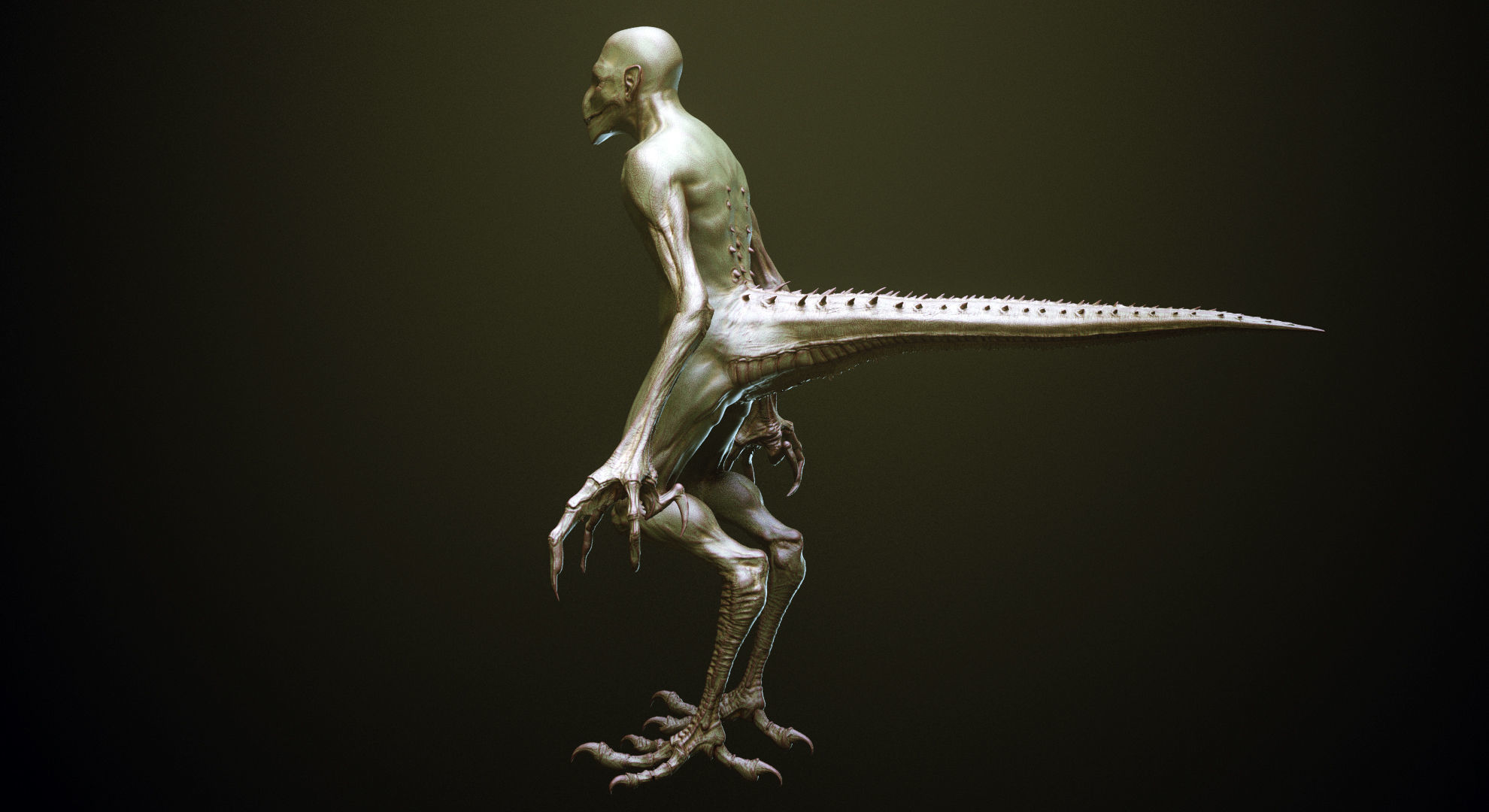 TAILS - 33 Tail Meshes and Curve Brushes 3D model_6