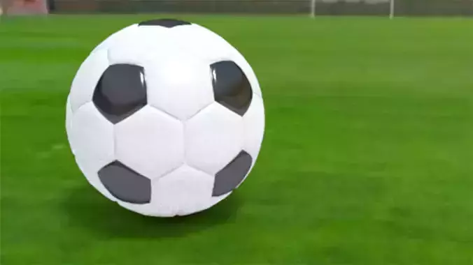 black and white soccer ball