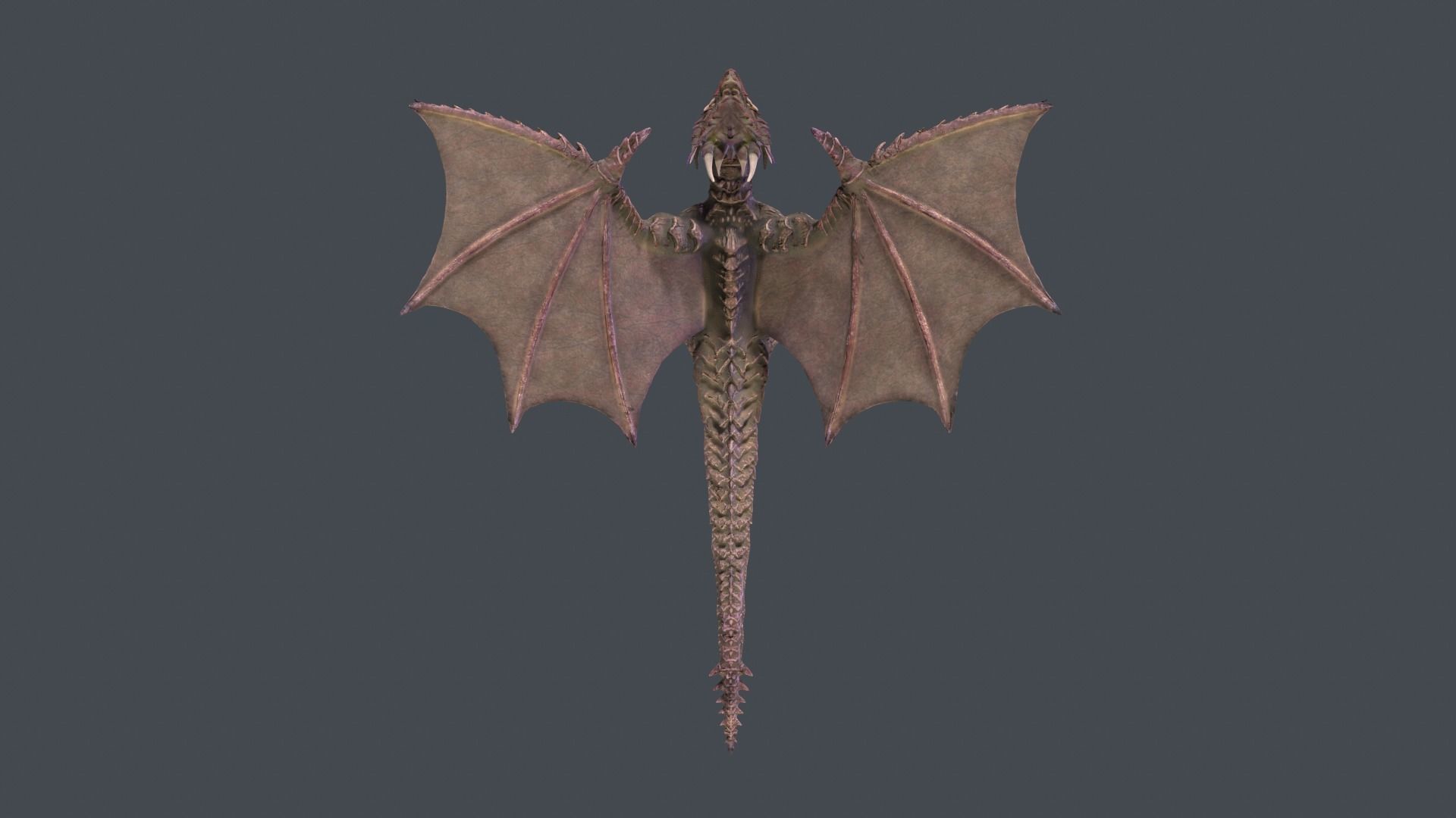 Monster Dragon 01 Low-poly 3D model_7